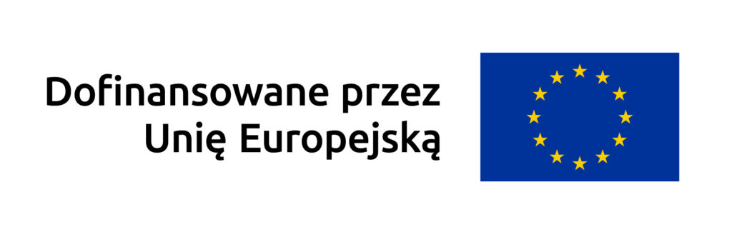 znak ue polski poziom kolor rgb